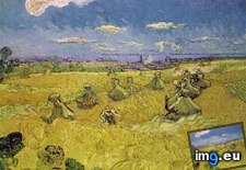 Tags: wheat, stacks, reaper, art, gogh, painting, paintings, van, vincent (Pict. in Vincent van Gogh Paintings - 1888-89 Arles)