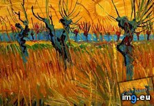 Tags: willows, sunset, art, gogh, painting, paintings, van, vincent (Pict. in Vincent van Gogh Paintings - 1888-89 Arles)