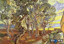 Tags: garden, saint, paul, hospital, version, art, gogh, painting, paintings, van, vincent (Pict. in Vincent van Gogh Paintings - 1889-90 Saint-Rémy)