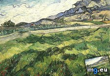 Tags: field, green, wheat (Pict. in Vincent van Gogh Paintings - 1889-90 Saint-Rémy)