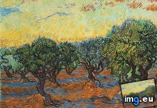 Tags: grove, olive, orange, sky (Pict. in Vincent van Gogh Paintings - 1889-90 Saint-Rémy)
