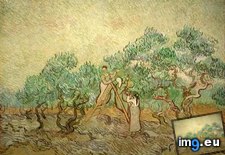 Tags: olive, picking, version, art, gogh, painting, paintings, van, vincent (Pict. in Vincent van Gogh Paintings - 1889-90 Saint-Rémy)