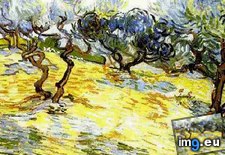 Tags: olive, trees, bright, blue, sky, art, gogh, painting, paintings, van, vincent (Pict. in Vincent van Gogh Paintings - 1889-90 Saint-Rémy)