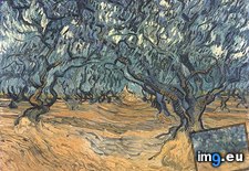 Tags: olive, trees (Pict. in Vincent van Gogh Paintings - 1889-90 Saint-Rémy)