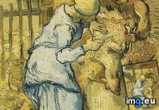 Tags: sheep, millet, art, gogh, painting, paintings, van, vincent (Pict. in Vincent van Gogh Paintings - 1889-90 Saint-Rémy)