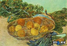 Tags: life, oranges, lemons, blue, gloves, art, gogh, painting, paintings, van, vincent (Pict. in Vincent van Gogh Paintings - 1888-89 Arles)