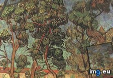 Tags: trees, garden, saint, paul, hospital, art, gogh, painting, paintings, van, vincent (Pict. in Vincent van Gogh Paintings - 1889-90 Saint-Rémy)