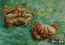 Tags: crabs, two (Pict. in Vincent van Gogh Paintings - 1888-89 Arles)