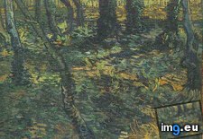 Tags: undergrowth, ivy, art, gogh, painting, paintings, van, vincent (Pict. in Vincent van Gogh Paintings - 1889-90 Saint-Rémy)