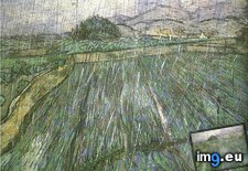 Tags: field, rain, wheat (Pict. in Vincent van Gogh Paintings - 1889-90 Saint-Rémy)