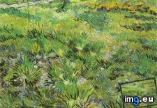 Tags: garden, hospital, meadow, paul, saint (Pict. in Vincent van Gogh Paintings - 1889-90 Saint-Rémy)