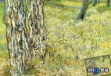 Tags: dandelions, garden, hospital, paul, pine, saint, trees (Pict. in Vincent van Gogh Paintings - 1889-90 Saint-Rémy)