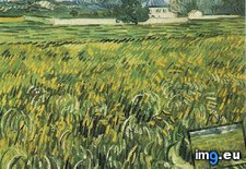 Tags: auvers, field, house, wheat, white (Pict. in Vincent van Gogh Paintings - 1890 Auvers-sur-Oise)
