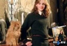 Tags: emma, hermione, photo, poa (Pict. in Emma Watson Photos)