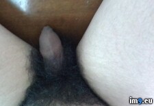 Tags: shemale (Pict. in Shemalemeat)