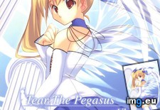 2005XXXXPockyFactoryTear_The_Pegasus_001 ( #640x904) - 85 KB Tags: 640x904 (Pict. in torscrape)