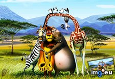 Tags: madagascar, wallpaper, wide (Pict. in Unique HD Wallpapers)