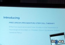 Tags: stemcell (Pict. in stemcell)