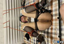 Tags: asian, bbc, bdsm, gangbang, japan, lulu (Pict. in slut lulu 6)