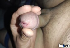 2023-09-30 1 (#Ass #Cock #Dick) - 592 KB Tags: ass, cock, dick (Pict. in Erickkkxxx)