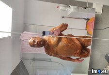 Tags: christof, jahn, likes, porn, scat (Pict. in Christof Jahn likes shit)