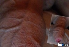 Tags: amateur, dickpics, internet, selfies (Pict. in Lenstroyer free hot pictures)