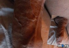 Tags: amateur, cloud, dickpics, internet (Pict. in Lenstroyer free hot pictures)
