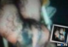 Tags:  (Pict. in Jonathan)