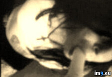 Tags:  (Pict. in Jonathan)