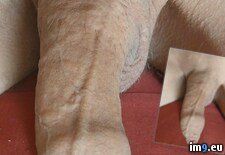 20250621_164151~2 ( ) - 815 KB Tags: (Pict. in New shaved cock for women)