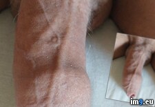 Tags: close, exebitionist, homemade, selfies (Pict. in For the nice lady's!)