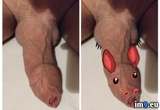 Tags: amateur, collage, dick, dickpics, dutch, homemade, nudes, porn, selfies (Pict. in Lenstroyer selfies and dickpics collages)