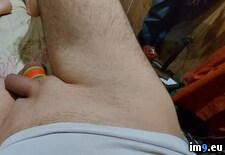 Tags:  (Pict. in So de quatro)