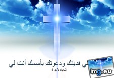 Tags: image (Pict. in Wadie 0)