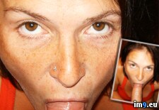 Tags:  (Pict. in Petz)