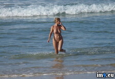 3951999603b5c8bc1df3 (#Nude #Milf #Nudes #Beach #Blond #Nudist) - 88 KB Tags: beach, blond, milf, nude, nudes, nudist (Pict. in Blond milf nudist)