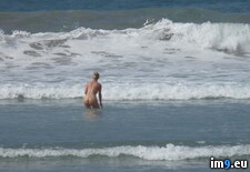 3951999603b5c8df1759 (#Nude #Milf #Nudes #Beach #Mature #Nudist) - 70 KB Tags: beach, mature, milf, nude, nudes, nudist (Pict. in Blond milf nudist)