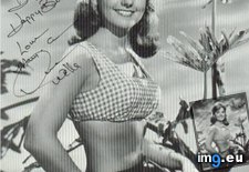 Tags: 3wells2 (Pict. in Dawn Wells)