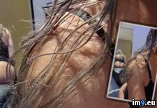 Tags:  (Pict. in BDSMLR)