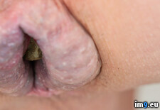 49 (#Ass #Lips #Fag #Alexander #Scat #Shithole #Shitting) - 53 KB Tags: alexander, ass, closeup, fag, lips, pig, scat, shit, shithole, shitting (Pict. in SCAT SHIT FAG)