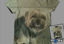 Tags: 4chan, designs, shirts (Pict. in My r/4CHAN favs)