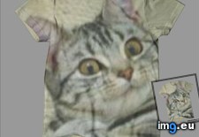 Tags: 4chan, designs, shirts (Pict. in My r/4CHAN favs)