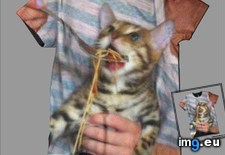 Tags: 4chan, designs, shirts (Pict. in My r/4CHAN favs)