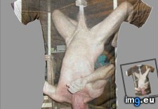 Tags: 4chan, designs, shirts (Pict. in My r/4CHAN favs)