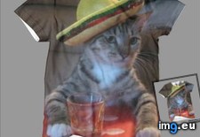 Tags: 4chan, designs, shirts (Pict. in My r/4CHAN favs)