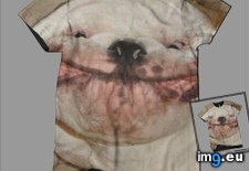 Tags: 4chan, designs, shirts (Pict. in My r/4CHAN favs)
