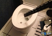 Tags: 4chan, ago, album, couple, humor (Pict. in My r/4CHAN favs)