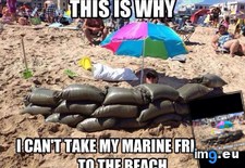 Tags: 4chan, ago, album, couple, humor (Pict. in My r/4CHAN favs)