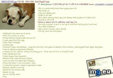 Tags: 4chan, anon, attempts, suicide (Pict. in My r/4CHAN favs)
