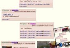 Tags: 4chan, anon, finds, kittens, stray (Pict. in My r/4CHAN favs)